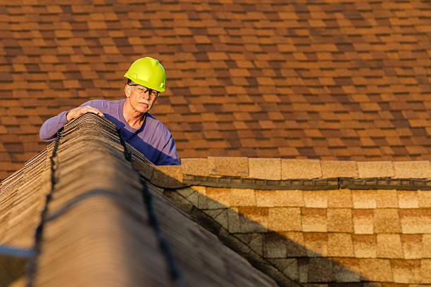 Best Roof Repair Services  in Shattuck, OK