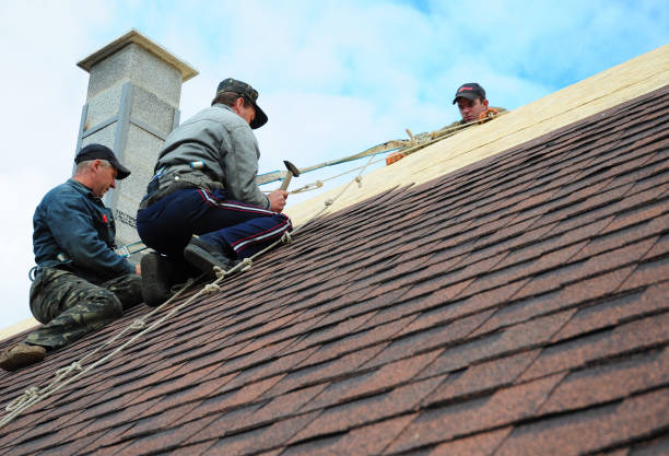 Best Storm Damage Roof Repair  in Shattuck, OK